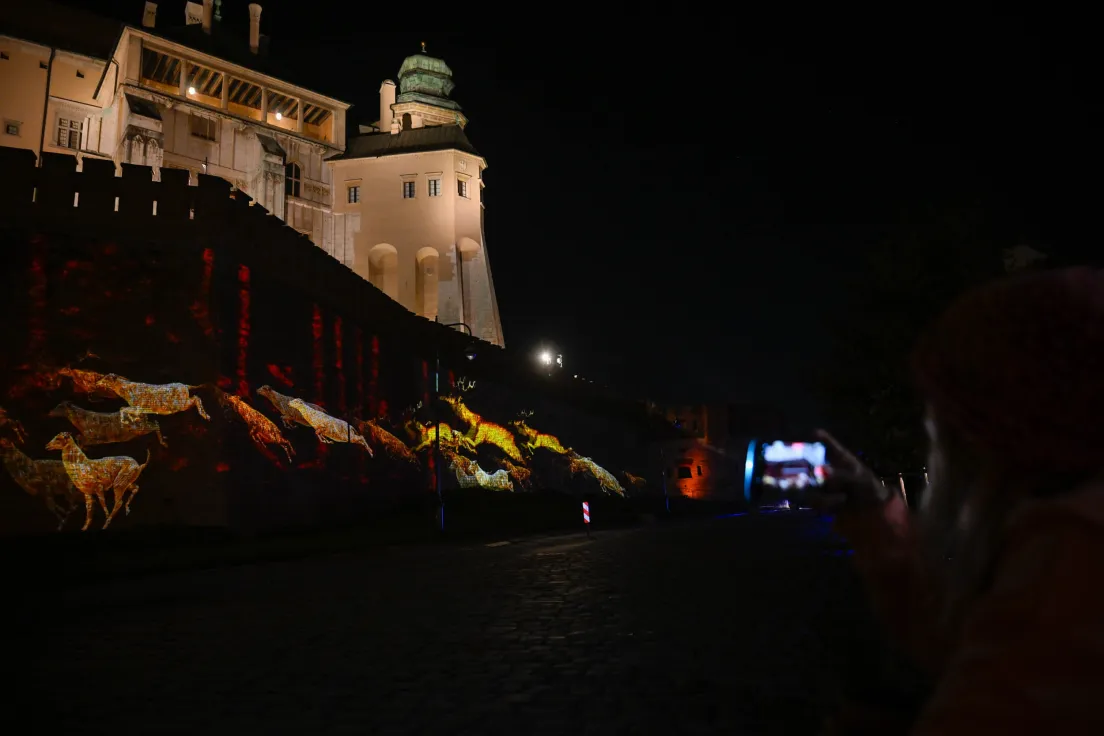 Mapping na Wawelu z okazji 1000 lecia Królestwa Polskiego