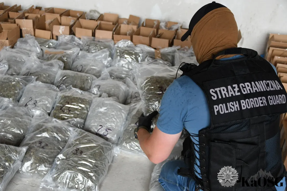Strażnik graniczny 