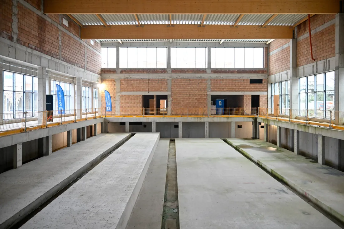 Budowa basenów Clepardia