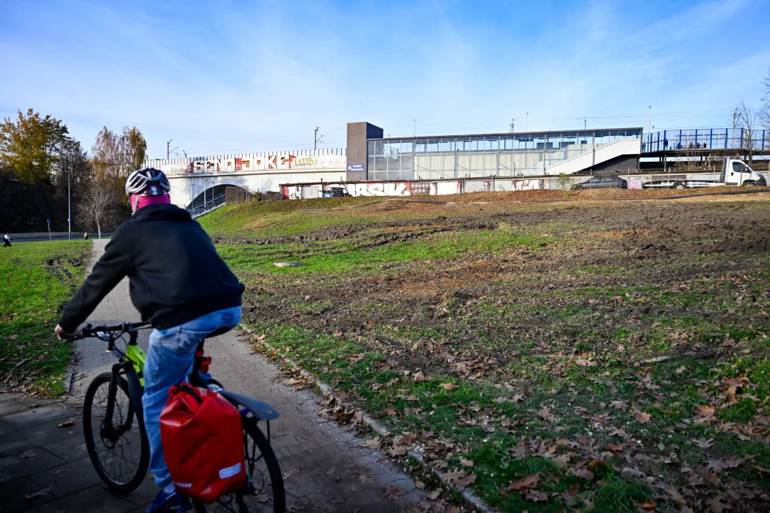 Wycinka drzew pod budowę parkingu P&R