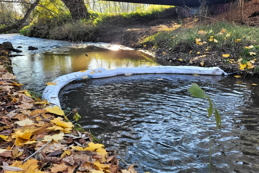 Łapacze śmieci na Białusze