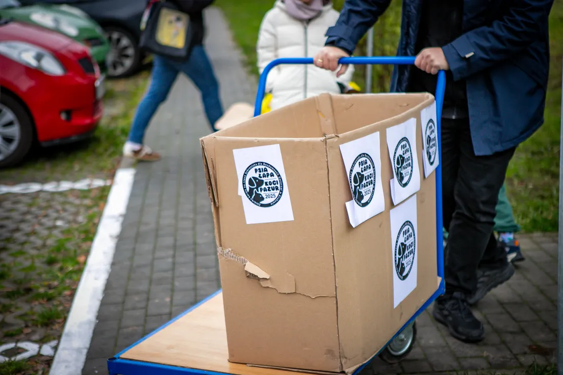 Finał zbiórki karmy „Psia łapa, koci pazur 2025”