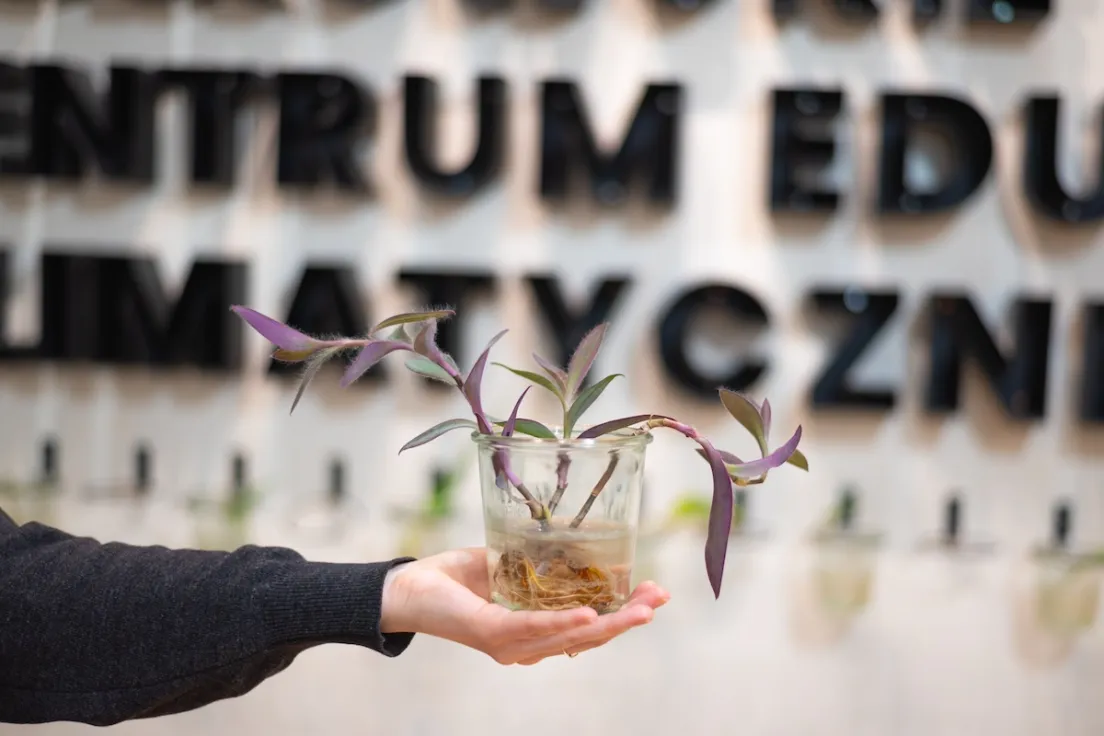 Krakowskie Centrum Edukacji Klimatycznej 