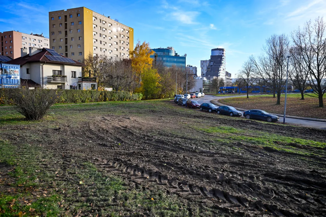 Wycinka drzew pod budowę parkingu P&R