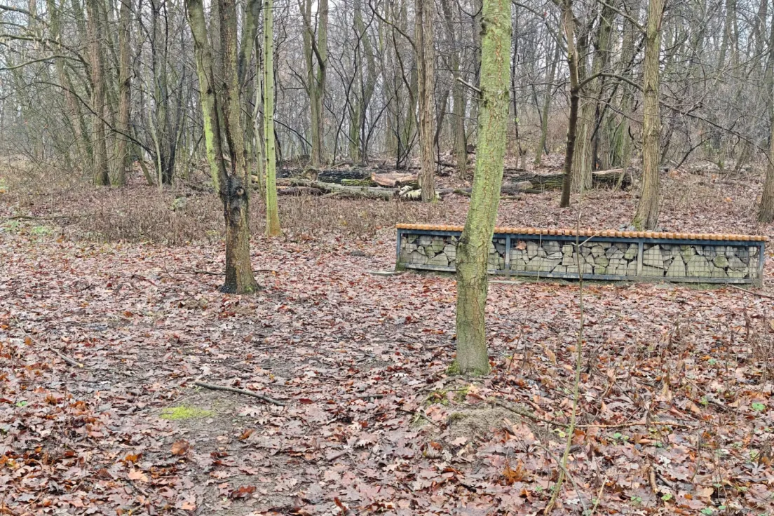 Park Aleksandry-Północ
