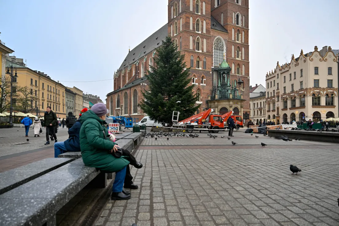 Choinka na Rynku Głównym