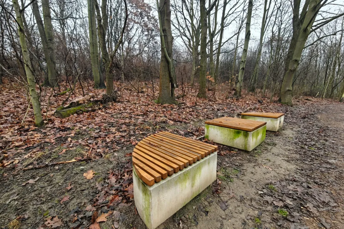Park Aleksandry-Północ