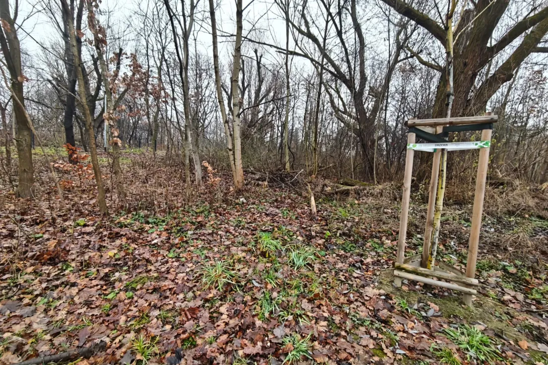 Park Aleksandry-Północ