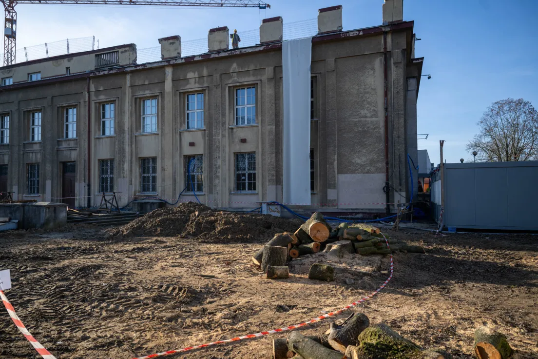 Wycięte drzewa przy Muzeum Nowej Huty