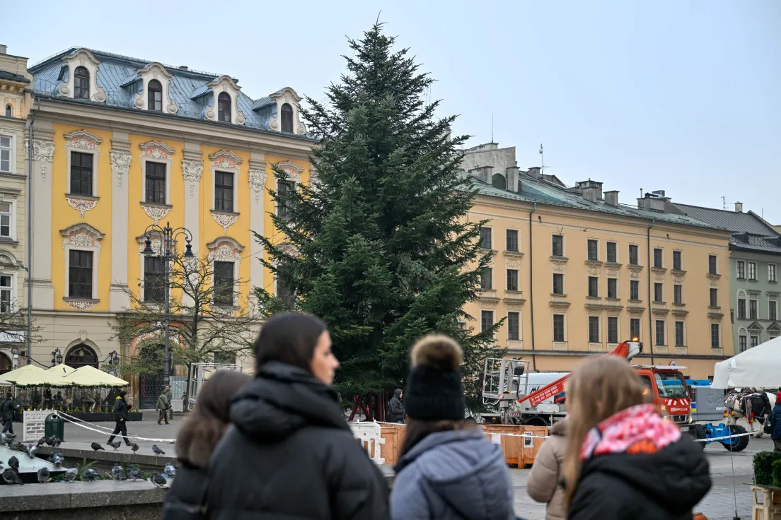 Choinka na Rynku Głównym