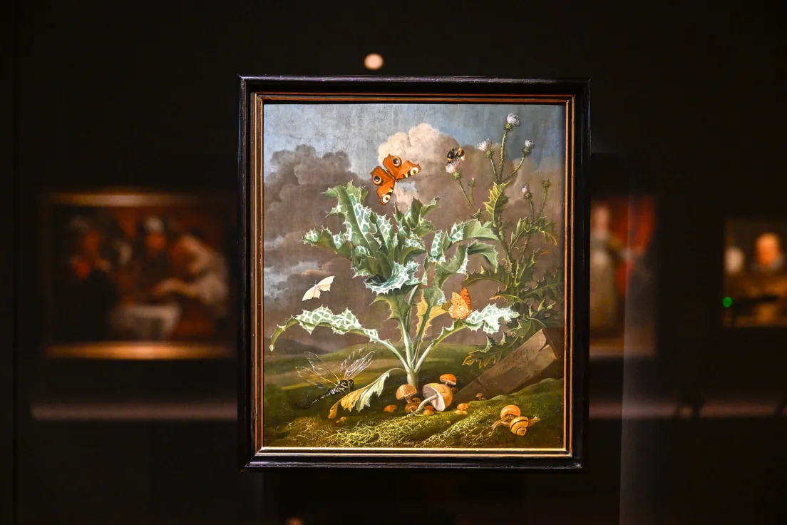 Galeria Sztuki Europejskiej w Muzeum Narodowym