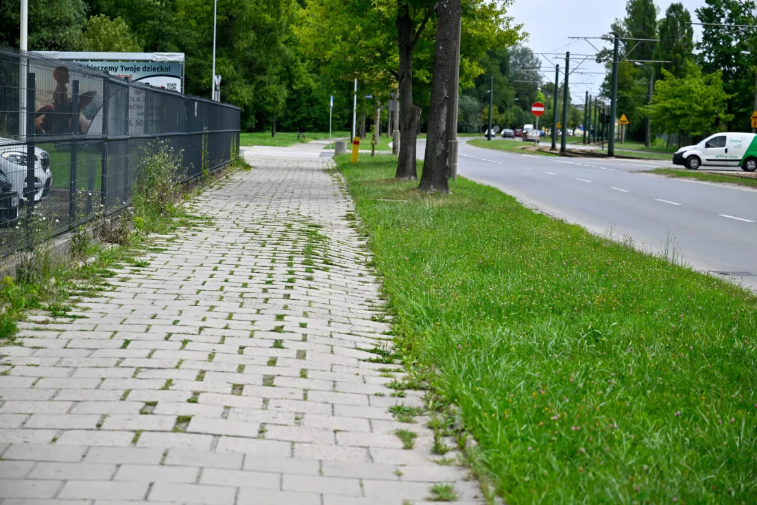 Ul. Kocmyrzowska