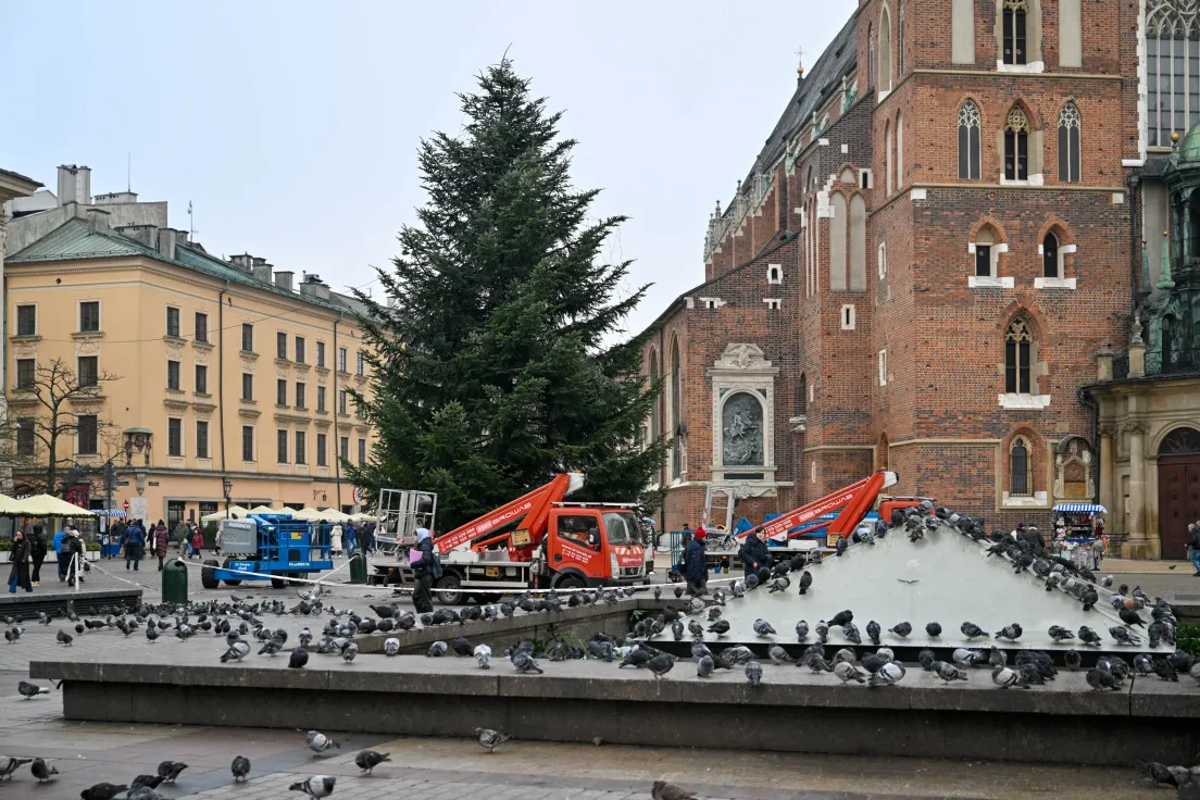Choinka na Rynku Głównym