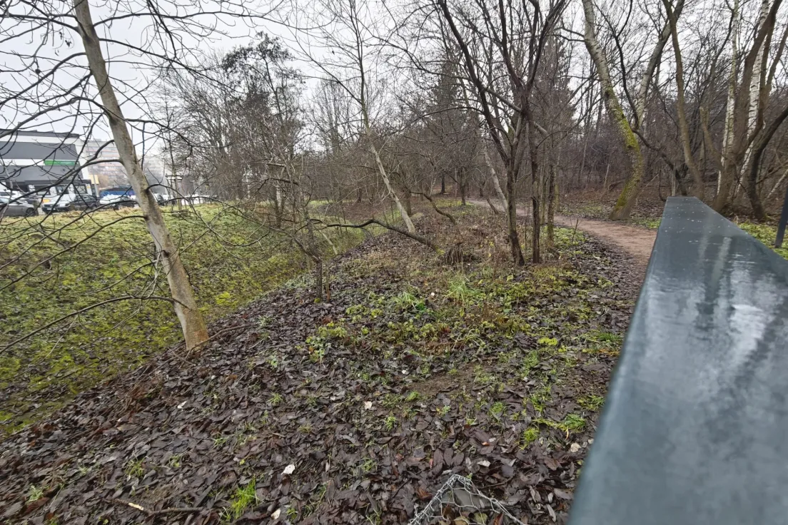 Park Aleksandry-Północ