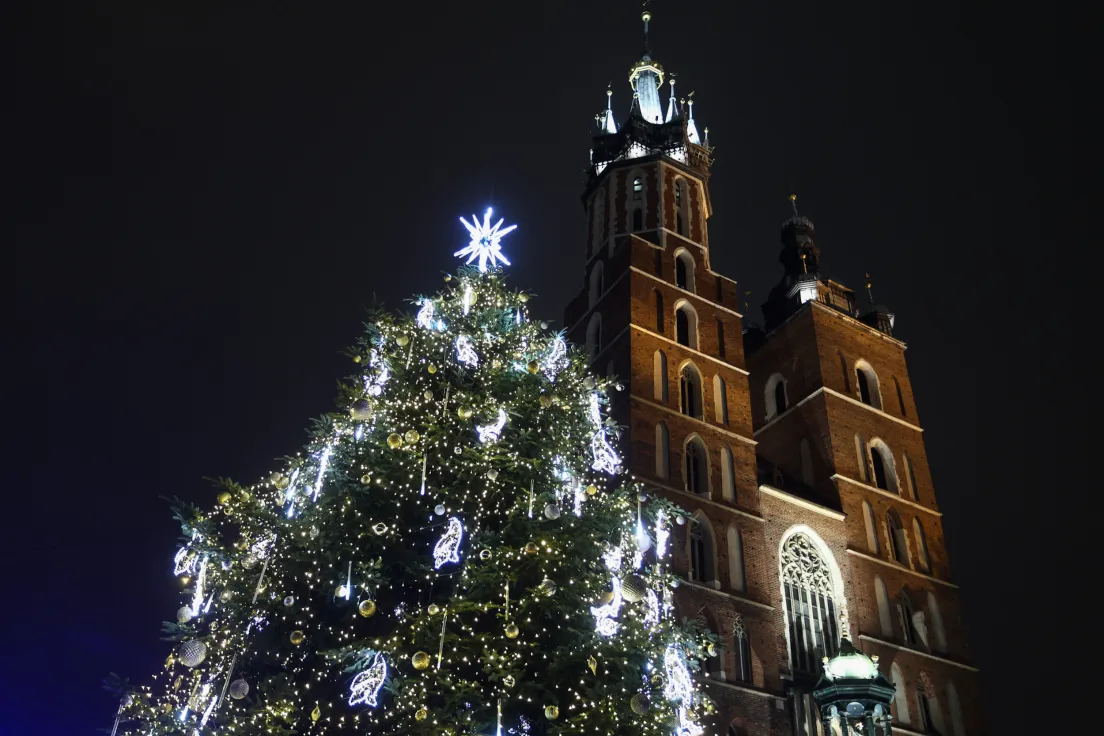 Zapalenie choinki na Rynku Głównym