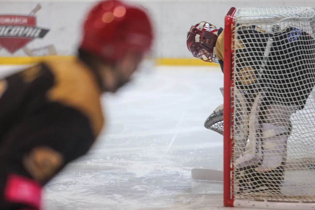 Teddy Bear Toss podczas meczu Comarch Cracovii
