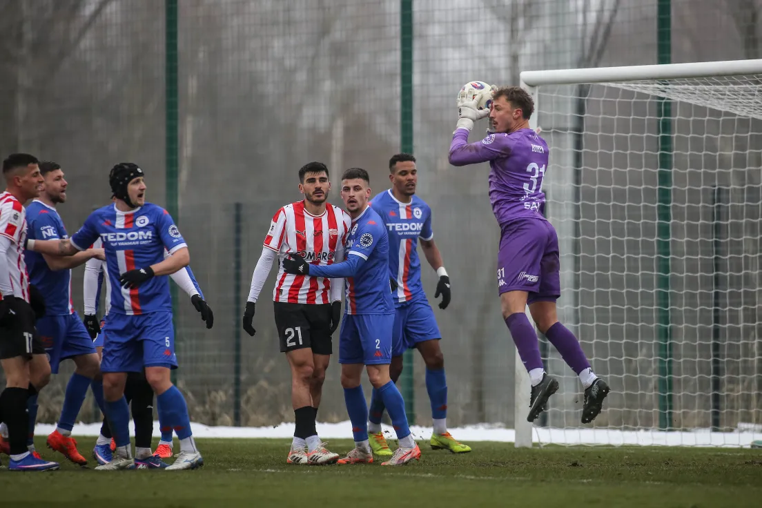 Sparing Cracovia - Artis Brno