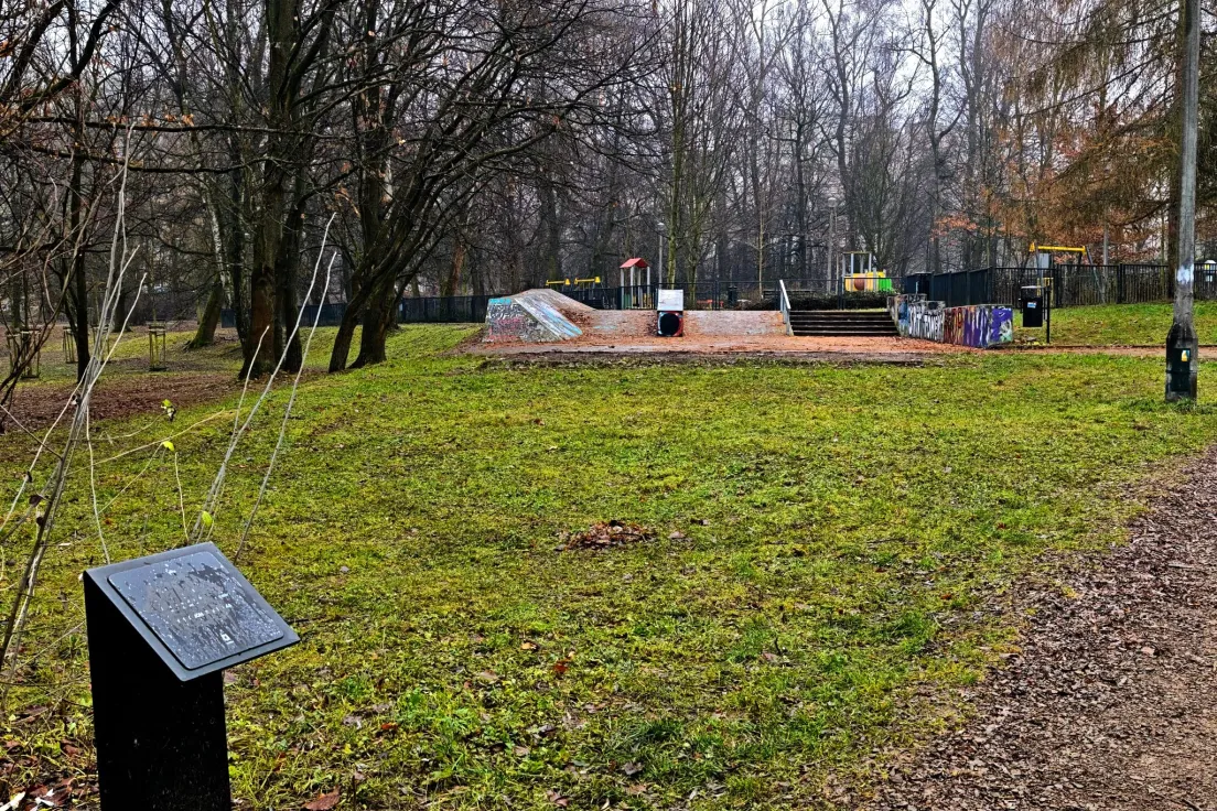 Skatepark w Parku Lilli Wenedy