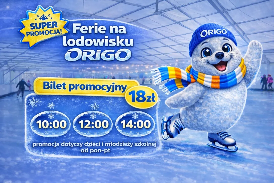 Lodowisko Origo