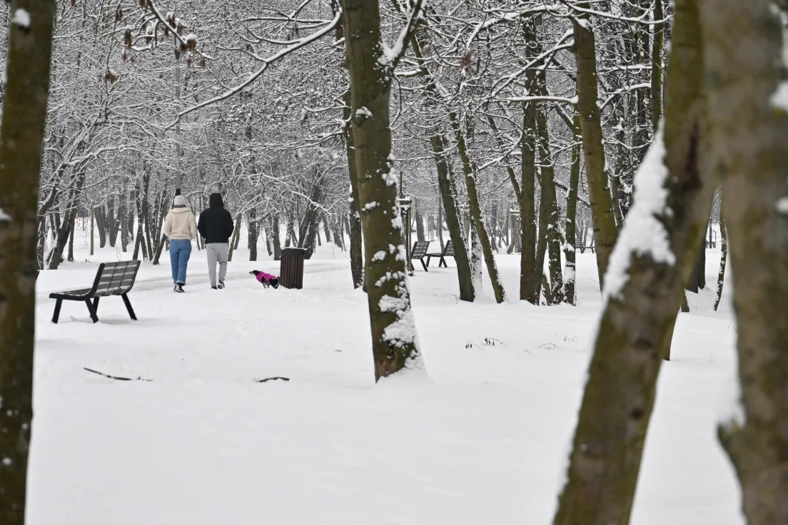 Park nad zalewem Bagry