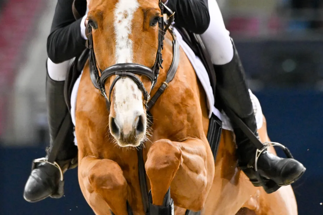 Zawody Perlage CAVALIADA Tour 2026