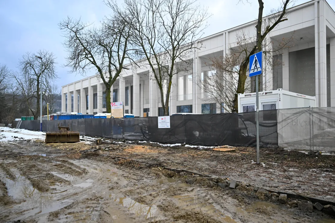 Wycinka drzew przy ul. Piastowskiej
