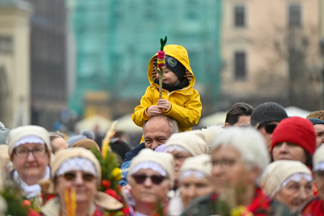 Święcenie palm na Rynku Głównym