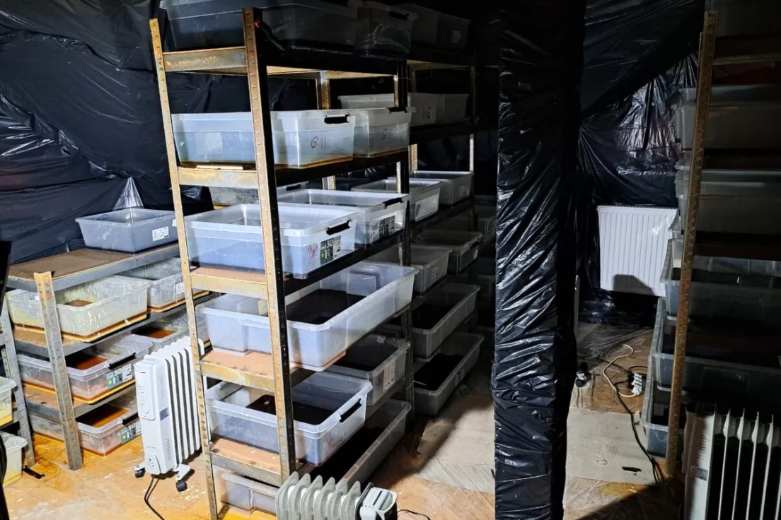 Zlikwidowane laboratorium klofedronu