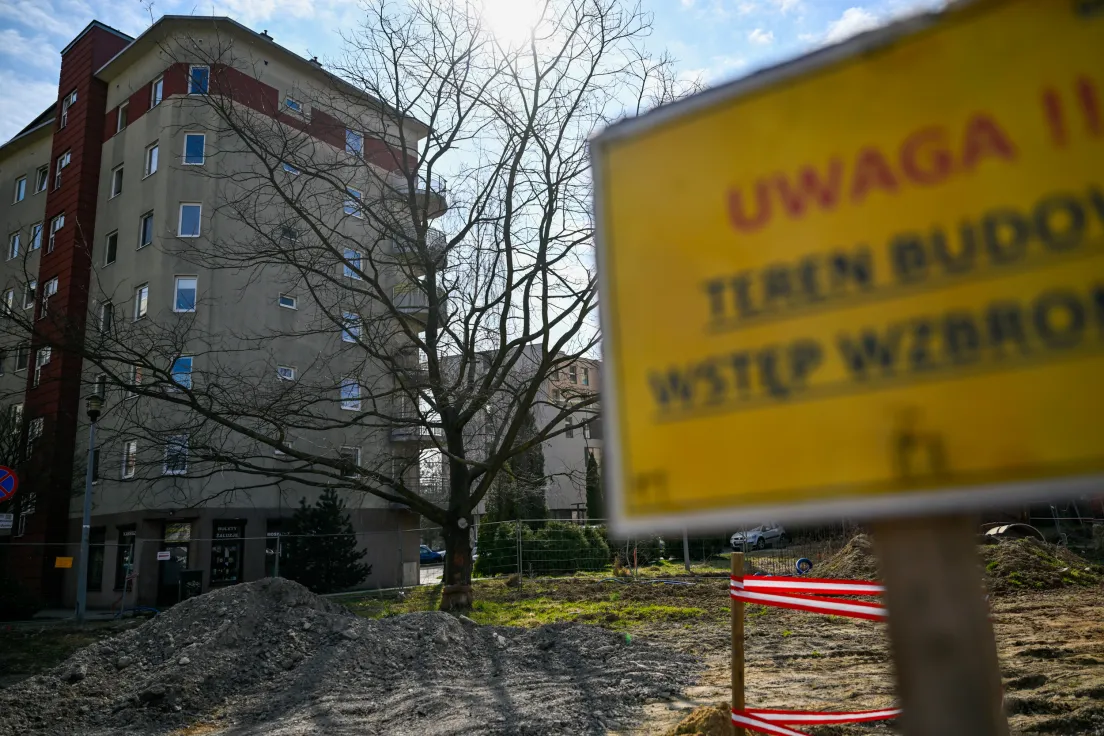 Przesadzony dąb na ul. Lipińskiego