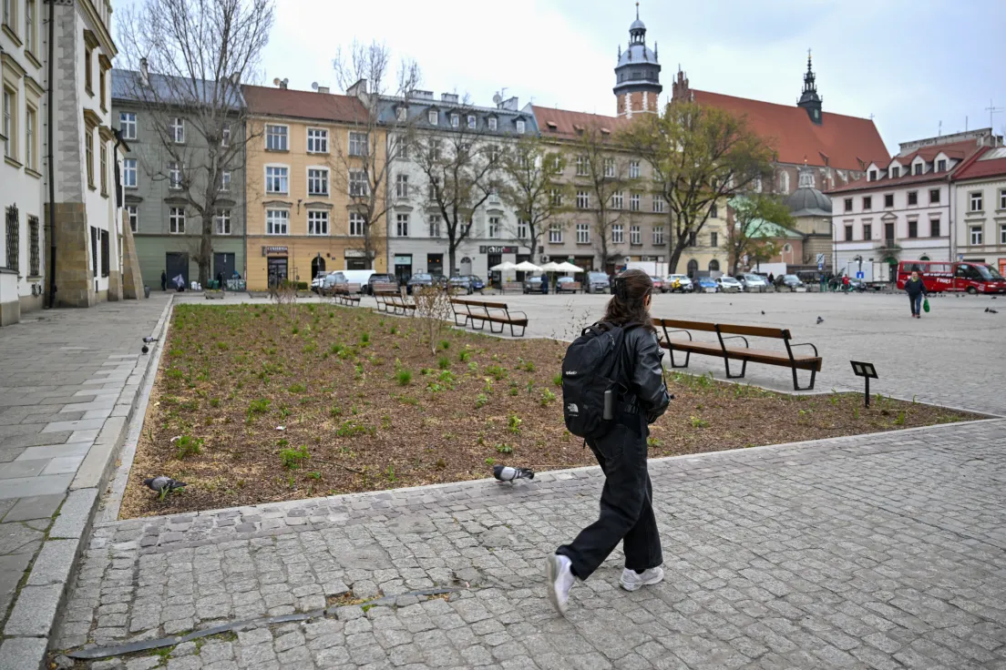 Modernizacja i nasadzenia na Placu Wolnica
