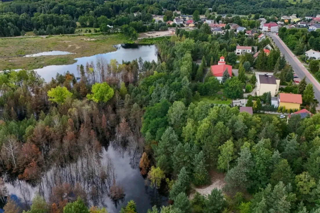 Zalewiska