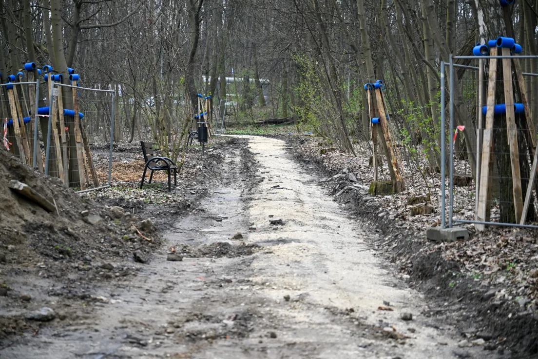 Budowa ścieżki pieszo rowerowej przy ul. Puszkarskiej