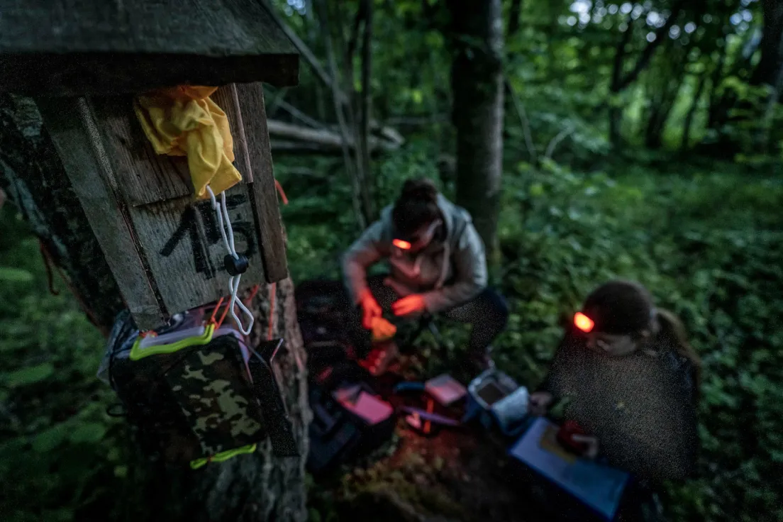Prace nocne prowadzono w minimalnym świetle czerwonym, aby nie zakłócać rytmu dobowego ptaków