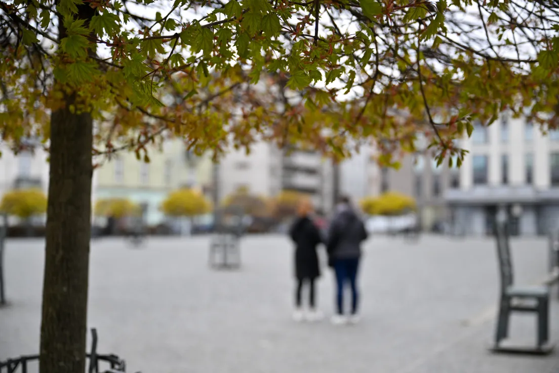 Modernizacja i nasadzenia na Placu Bohaterów Getta