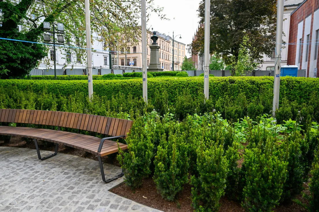 Zielony plac przed UMK