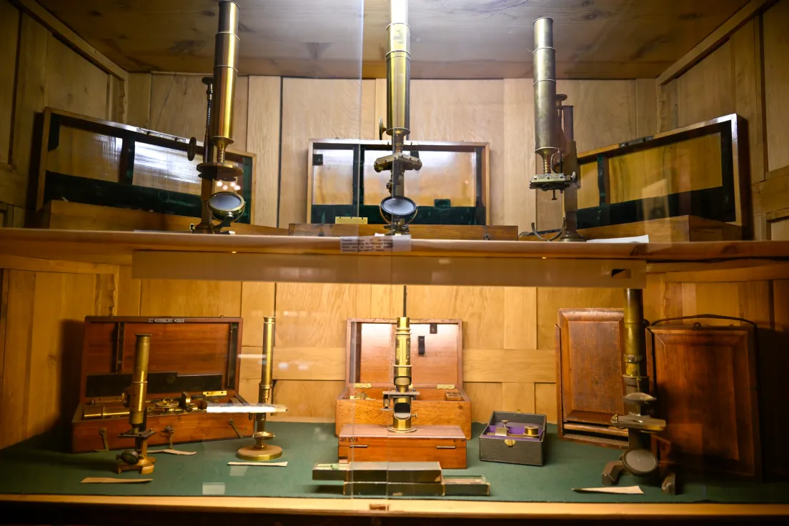 Muzeum medycyny UJ