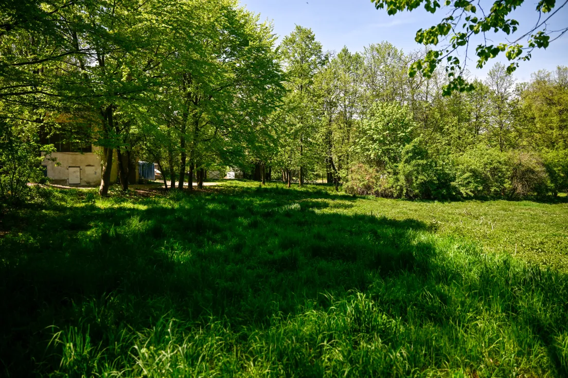 Teren pod Błonia Prądnickie