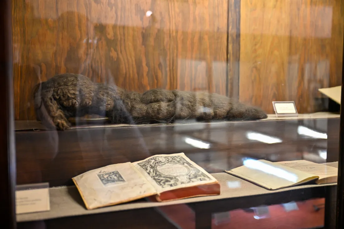 Muzeum medycyny UJ