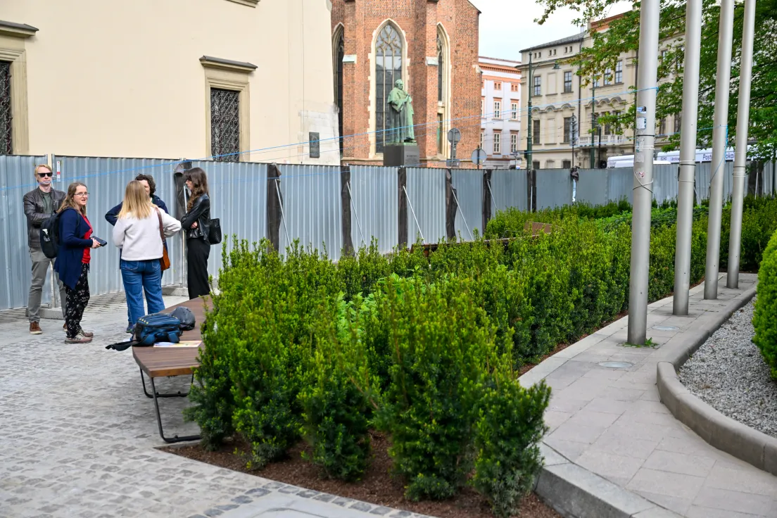 Zielony plac przed UMK