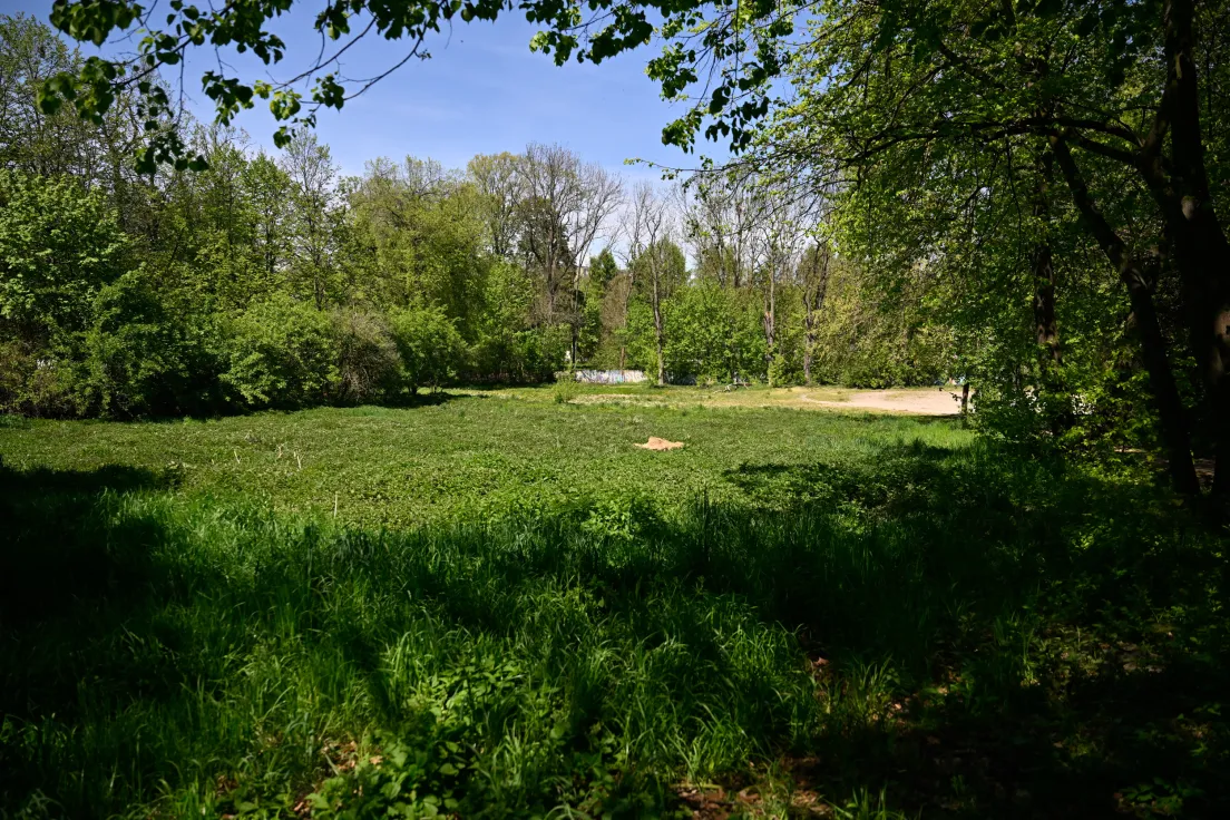 Teren pod Błonia Prądnickie