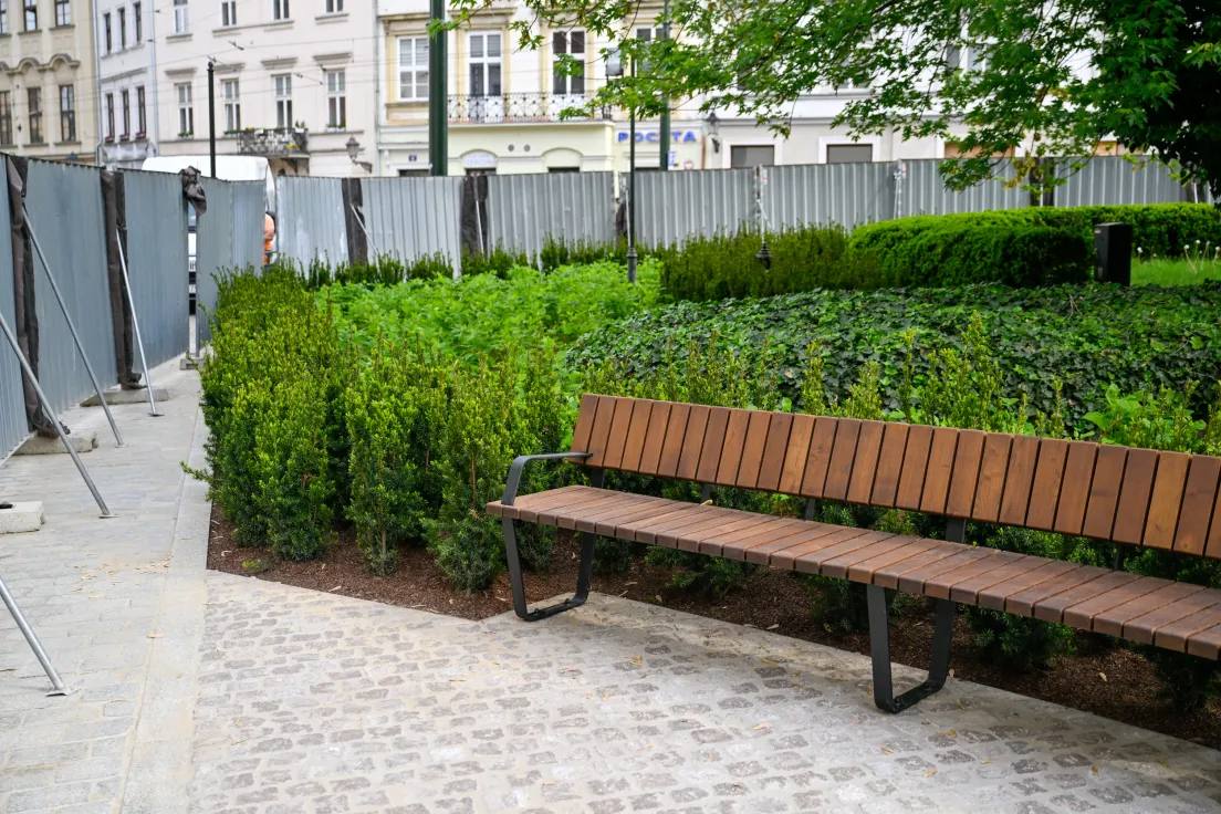 Zielony plac przed UMK