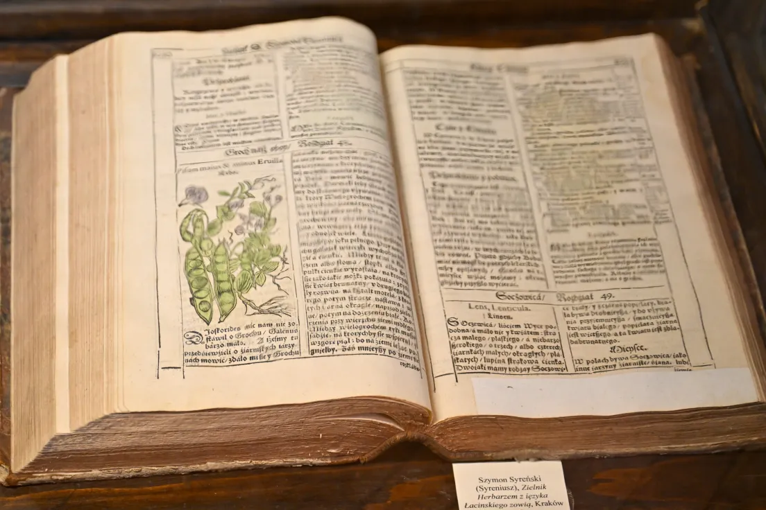 Muzeum medycyny UJ