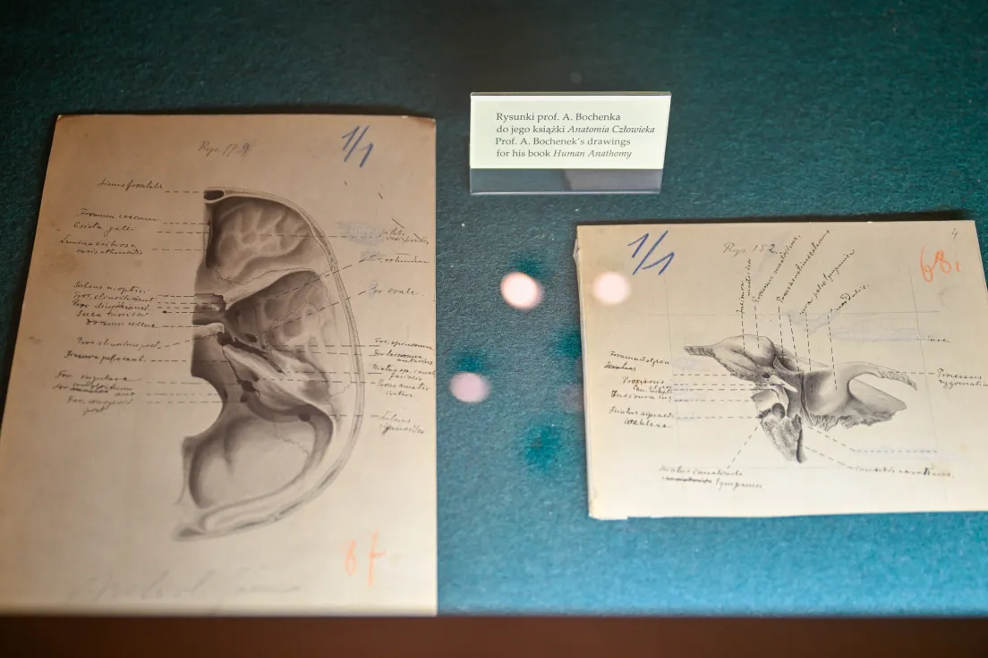 Muzeum medycyny UJ