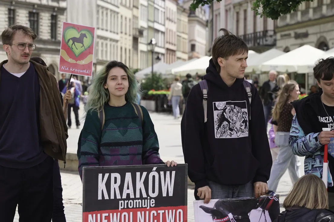 Protest na rynku głównym przeciwko dorożkom