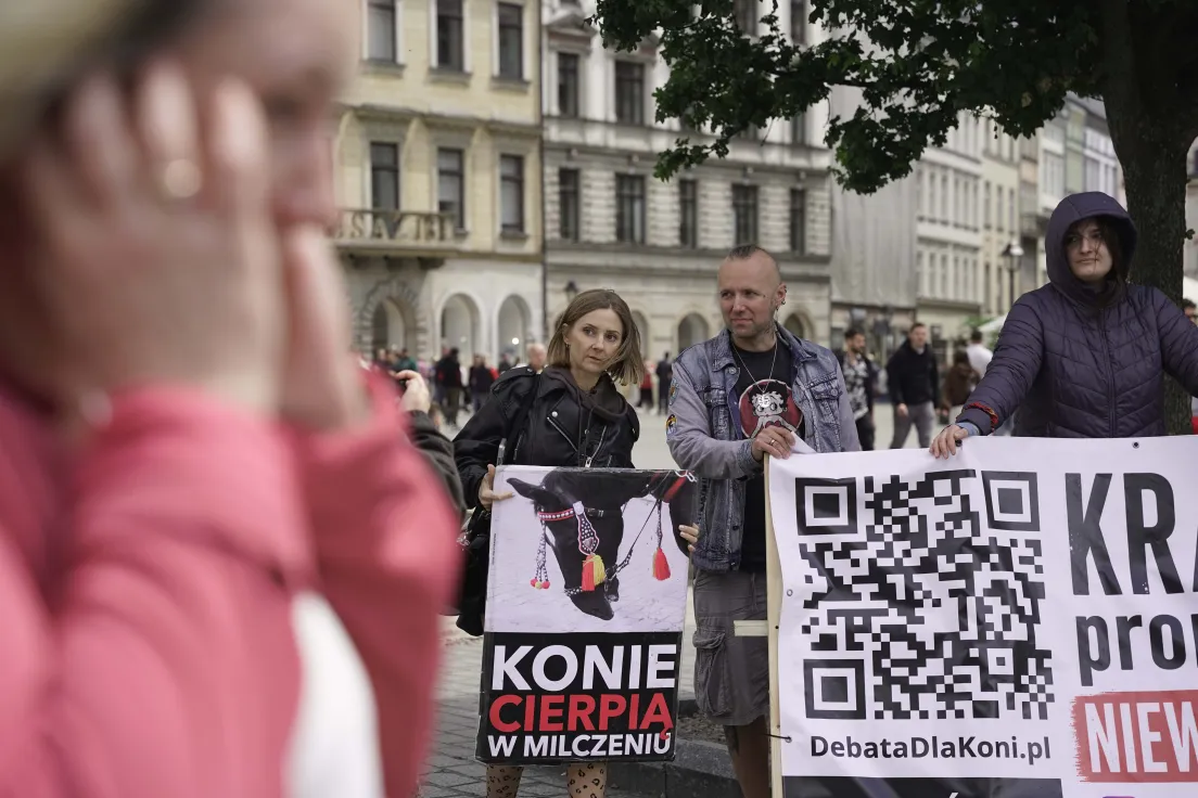 Protest na rynku głównym przeciwko dorożkom
