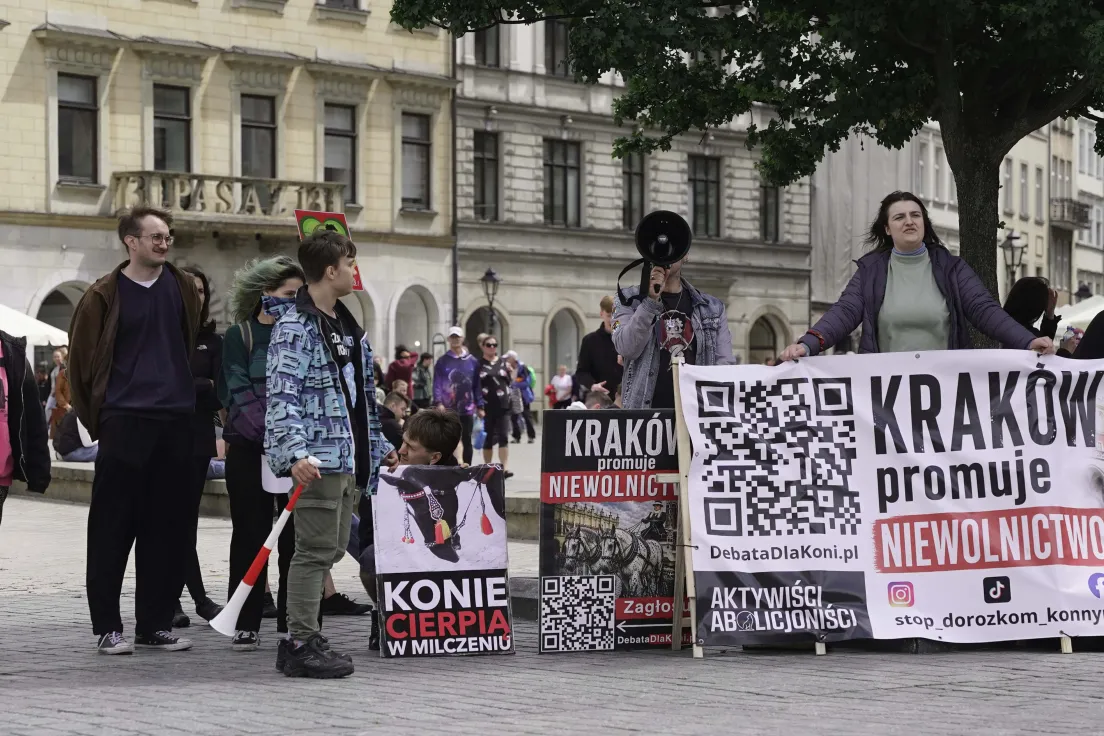 Protest na rynku głównym przeciwko dorożkom