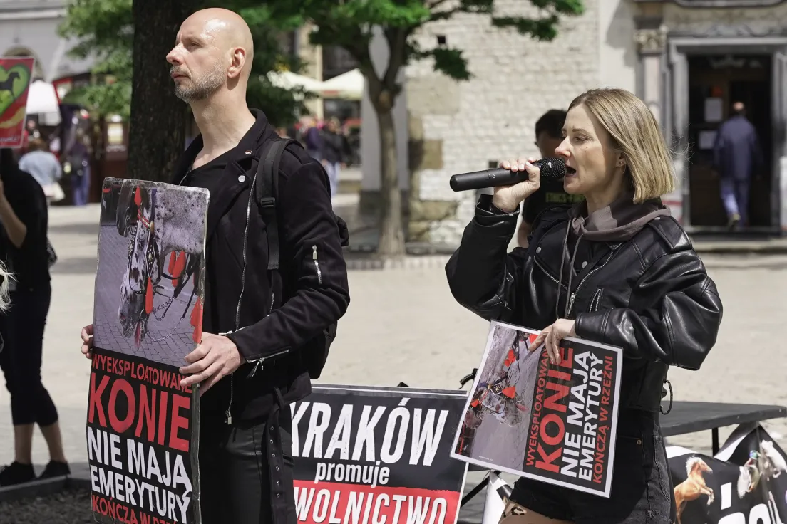 Protest na rynku głównym przeciwko dorożkom