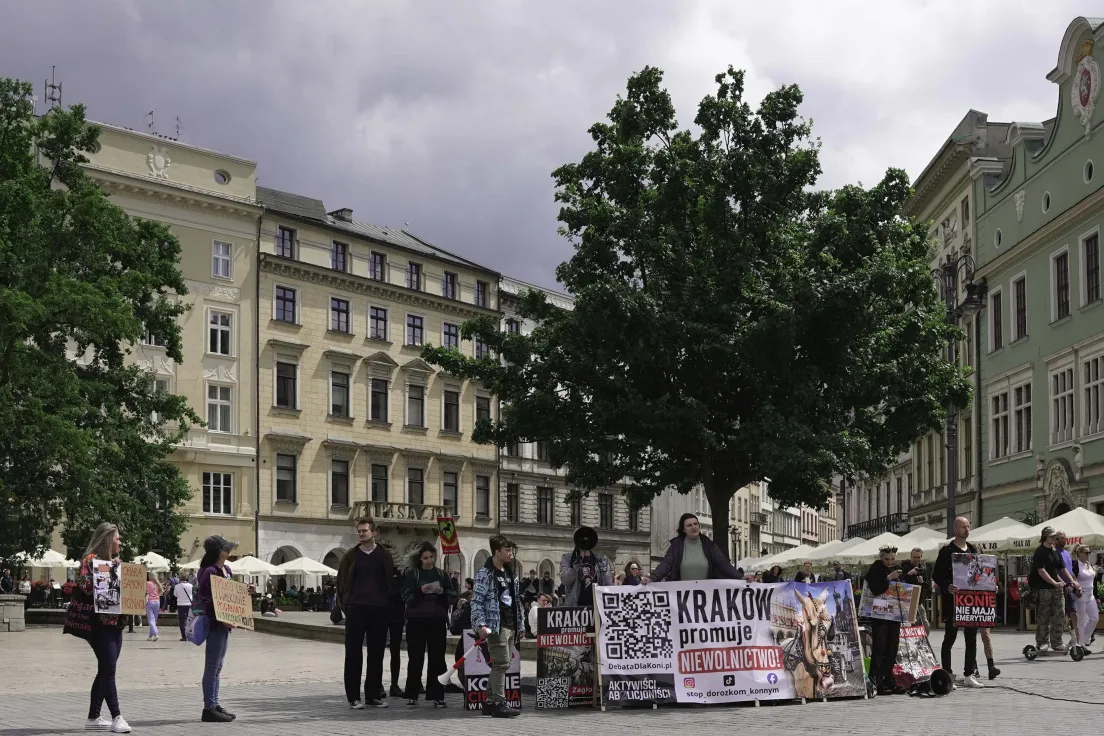 Protest na rynku głównym przeciwko dorożkom