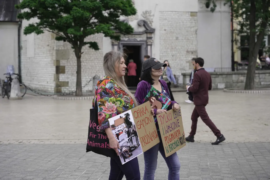 Protest na rynku głównym przeciwko dorożkom