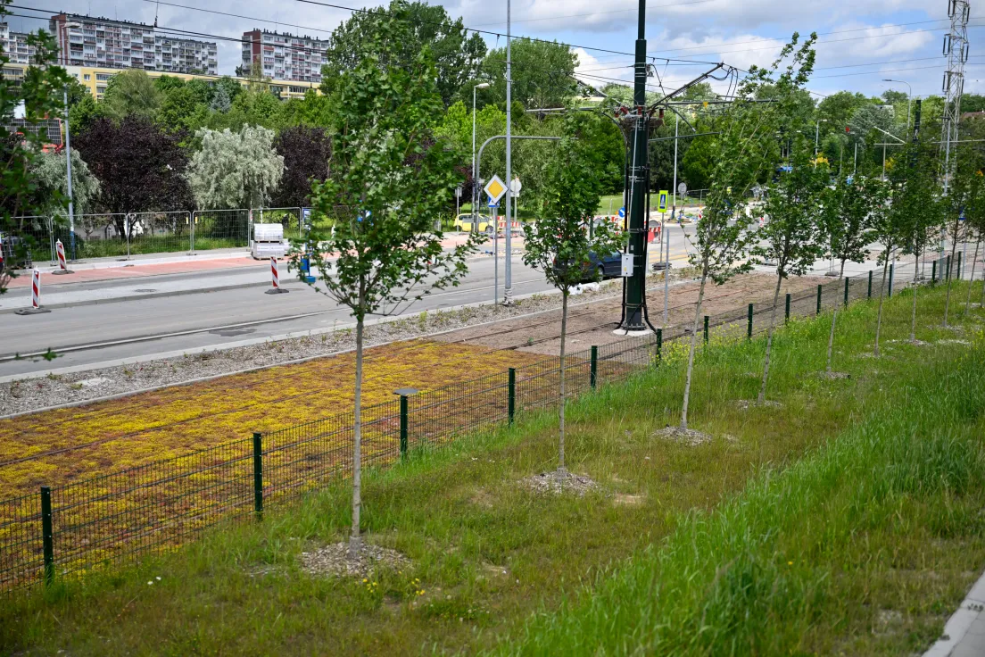 Budowa linii tramwajowej do Mistrzejowic